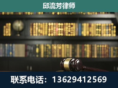 绿春-经济类案件